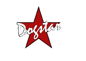 Dogstar Entertainment 